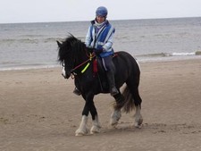 EASY-DOES-IT TOP QUALITY ROPE REINS for PARELLI, ENDURANCE, WESTERN RIDING.