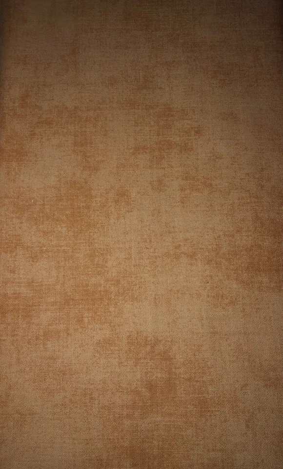 Riley Blake Basic Shade "Tan Blender" C200-20~100% Cotton Quilt Fabric~BTY - Image 2 of 4