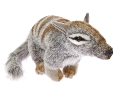 ❤️~BOCCHETTA Numbat SHERBET Australian Native Plush Soft Toy