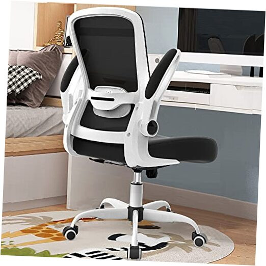 Ergonomic Office Chair with Adjustable Lumbar Support & Modern Design
