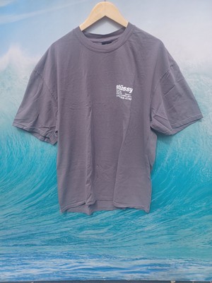 Stussy California Used Shark Grey DNA Pigment Dyed Tee #0493 | eBay