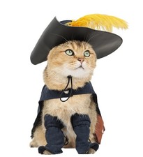Mascota Gato Perro Disfraz Juegos con disfraces Halloween Gatito Cachorro Ropa Capa Sombrero Cinturón Gorra...