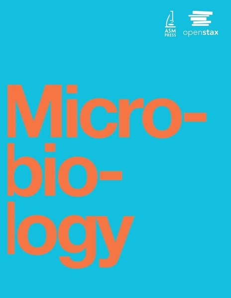 Nina Parker (U. A.) | Microbiology By Openstax | Taschenbuch | Englisch (2023)-image