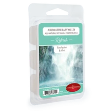 Aromatherapy Candle Warmers Scented Wax Melts Cubes Scented Fragrances 2.5 oz