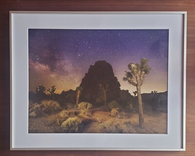 Fine Art Photograph of Joshua Tree National Park w/ Night Sky Signed & Framed