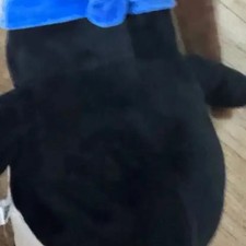 Penguin Roll Plush Toy - Medium, Brand New, Limited Stock