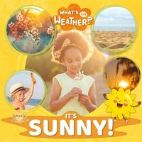 William Anthony | It's Sunny! | Taschenbuch | Englisch (2021)
