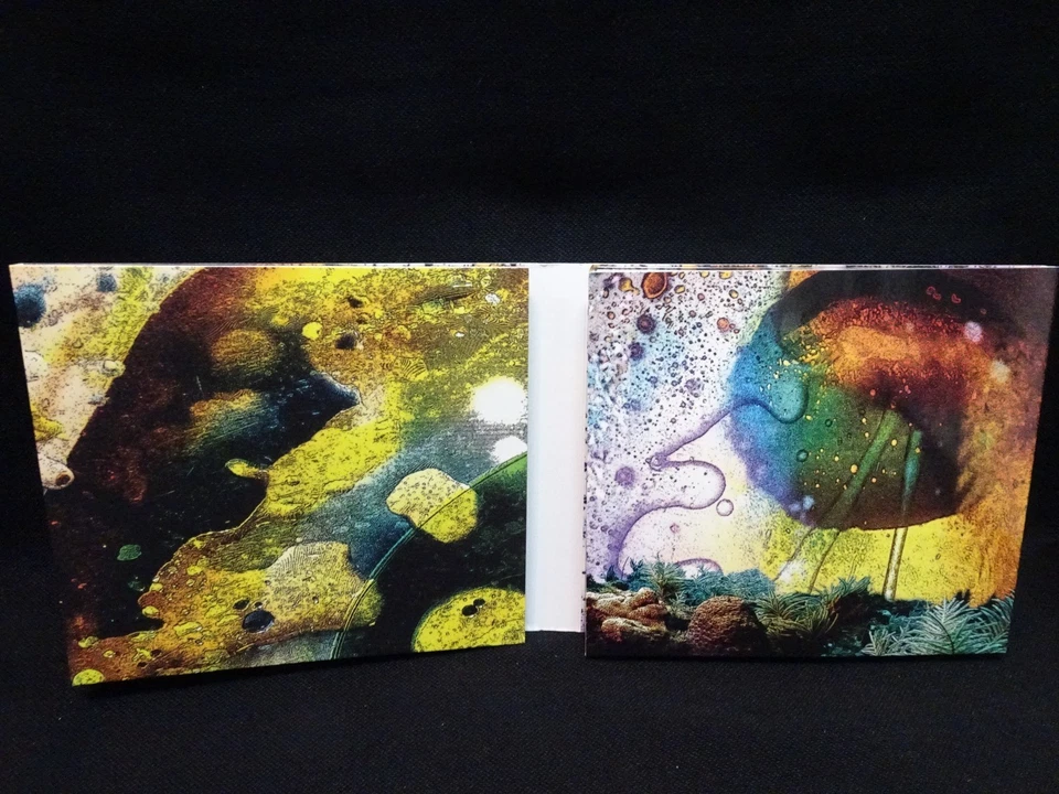 Nektar – Sounds Like Swiss - 2XCD + DVD - NM - DIGIPAK!!! - Image 2 of 4