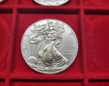 2011 American Silver Eagle Silber 1 Unze 999 FDC UNC TUBE