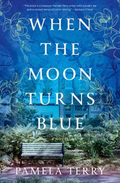When the Moon Turns Blue by Pamela Terry (Hardback Book)