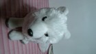 Bild 14 von 14