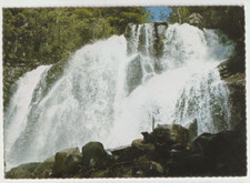 Australia VICTORIA VIC Snobs Creek Waterfall EILDON Bellevue BV409 postcard '70s