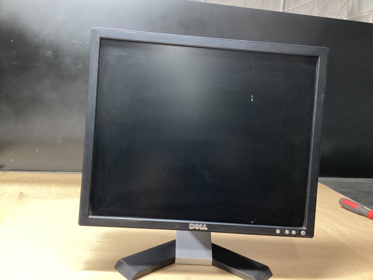 Dell E198FPb 19