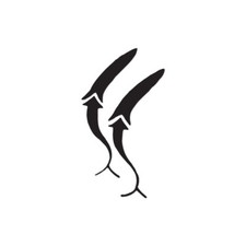 Pair of Lure Bait - Vinyl Decal Sticker - Multiple Color  Sizes - ebn411