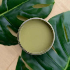 Everglades Green | Silk All-in-One Mineral Paint | Dixie Belle Paint Co.