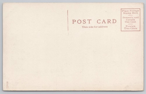 Cotton Picking Time Fields Postcard - Picture 2 of 2