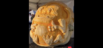 Pumpkin Atlantic | Giant Vegetable seeds | Drinagh garden centre