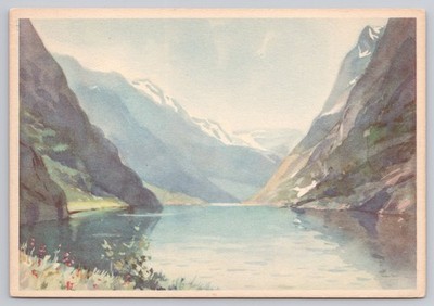 Vintage Nærøfjorden Norway Scenic Postcard by Mittet & Co Oslo