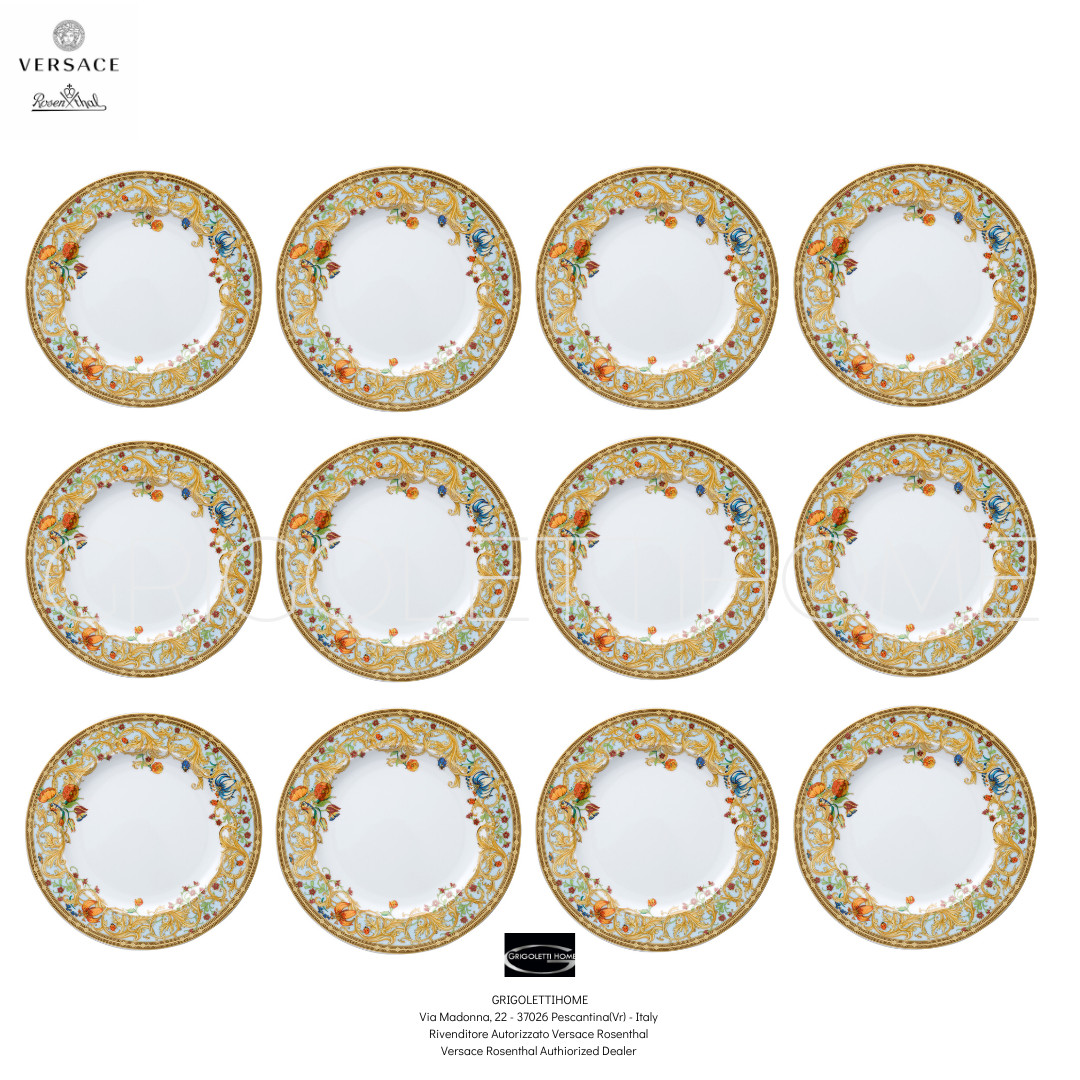 Versace Rosenthal - le Jardin De - Set 12 dinner plates cm 27 / inch 10.62