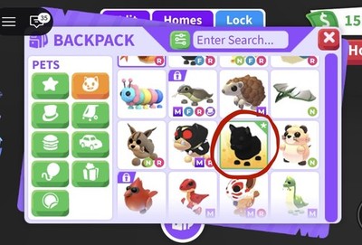 Adopt Me Old Black Panther CHEAP Virtual Pet ( purchase from a browser!)