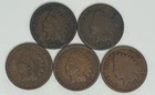 1893 1894 1904 1905 1908 Indian Head Cent Lot of 5 (713)