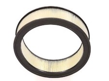 Air Filter Chevrolet Corvette 75-81, C10 69-86, C1500 88-95, Camaro 68-81 12" x