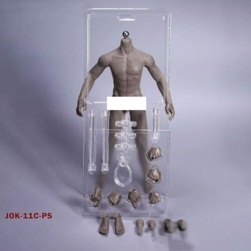 JIAOU DOLL 1/6 Seamless Male Body Doll Male Figure Fit 12" ForPhicen Hot Toys - Picture 17 of 25