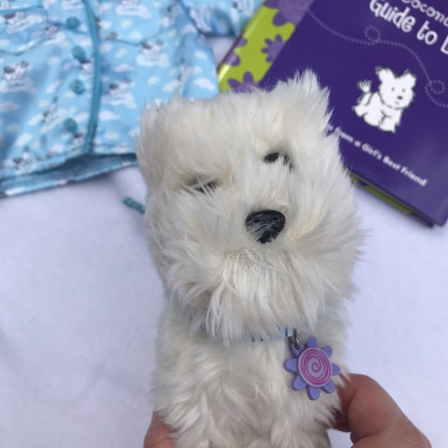 american girl doll coconut dog eBay