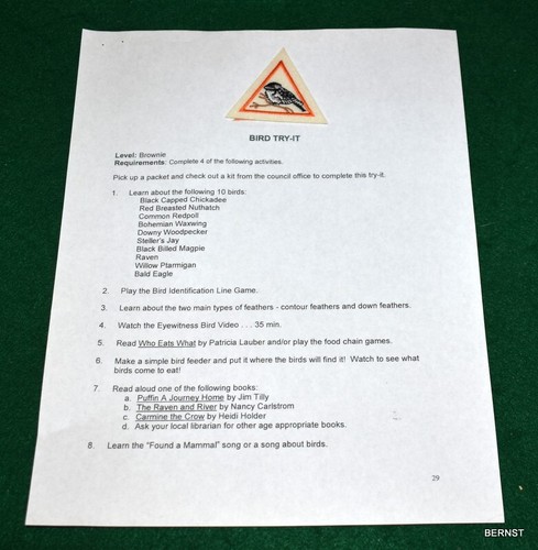 BROWNIE LOCAL TRY-IT BADGE AND REQUIREMENTS - BIRD - Picture 3 of 3