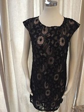 Ann Taylor Loft Black Nude Lace Overlay Shift Dress 4 Excellent