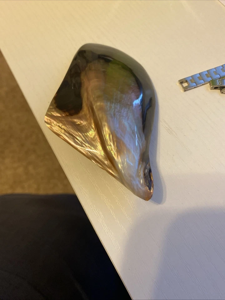 Natural Shell scarf ring  - Image 2 of 3