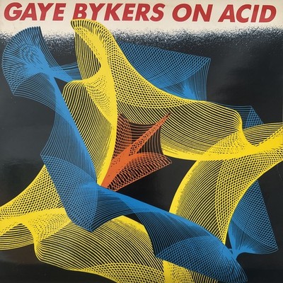 GAYE BYKERS ON ACID HOT THING RAD DUDE VIRGIN VS 1165 INDIE ROCK 1989 12  Vinyl