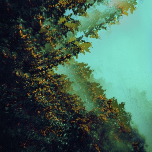 Caterpillars Of Creation - Image 2
