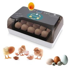 12 Eggs Incubator Smart Incubator for Chicken Pigeon Duck Automatic Turning US