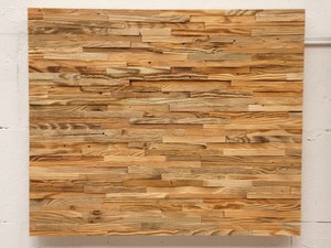 Wandpaneele Altholz Wandverkleidung Verblender Dekor Wandholzpaneele Vintage Ebay