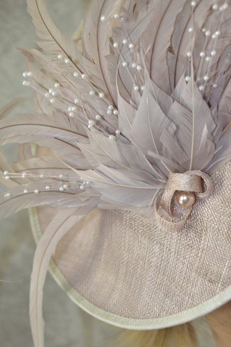 Veni Infantino Size 14 Dress and Nigel Rayment Hatinator Mother of the Bride - Picture 9 of 10