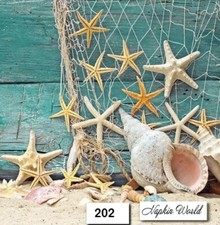 (202) TWO Individual Paper Luncheon Decoupage Napkins - STARFISH SEASHELLS OCEAN