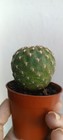Bild 2 von 2