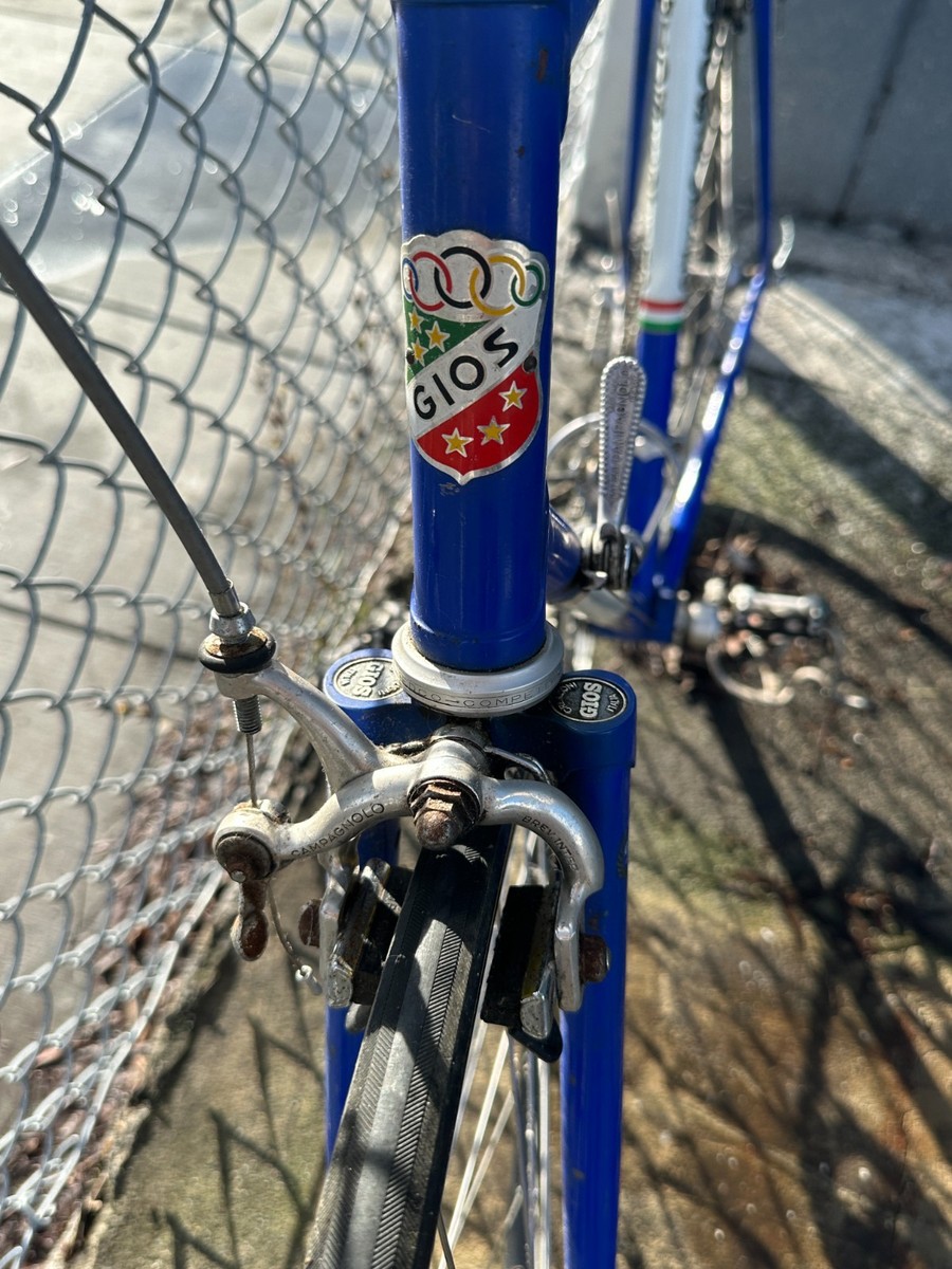 Vintage GIOS Torino Super Record Road Bike Campagnolo Groupset