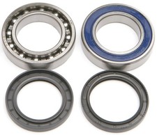 All Balls Chain Case Bearing and Seal Kit #14-1065 Arctic Cat