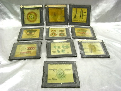   10 ANTIQUE PHOTO GLASS PLATES NEGATIVES BURST COLOR SCIENCE STEREOSCOPE