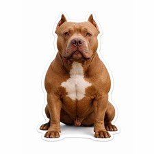 American Pit Bull Bully Dog Peeking Paws Sticker Car Bumper Decal Pitty