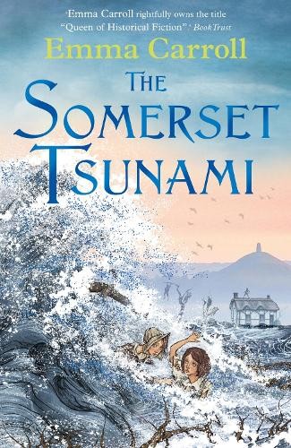 The Somerset Tsunami - Image 8