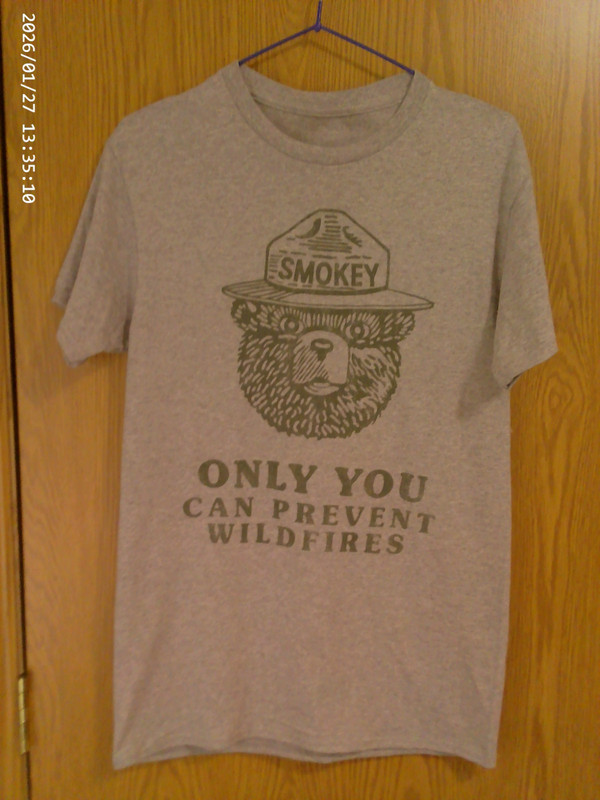 Smokey " Only You Can Prevent Wildfires" Gray Short Sleeve T-Shirt Size S