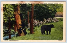 1951 GREAT SMOKY MOUNTAINS NATIONAL PARK BLACK BEAR 4 CUBS LINEN POSTCARD