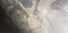 Foto 12 di 22