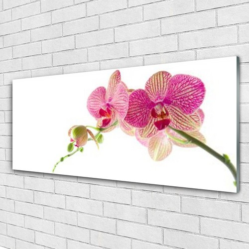Tableau Sur Verre Tulup 125x50 Cm – Motif Floral Fleurs Rose, Style Moderne