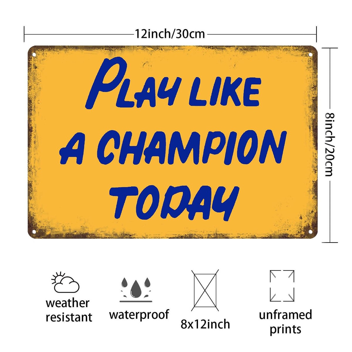 Play Like A Champion Today Sign Retro Decor Funny 8