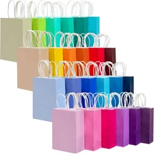 qiqee 24 Colors Small Gift Bag with 1 Count (Pack of 24), 24 Different 