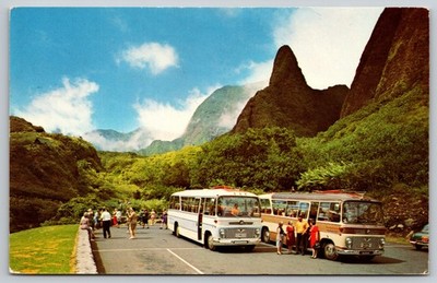 Maui Island Tours Hawaii - Excursion Buses Visit Lao Needle - Postcard
